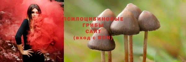 бошки Лихославль