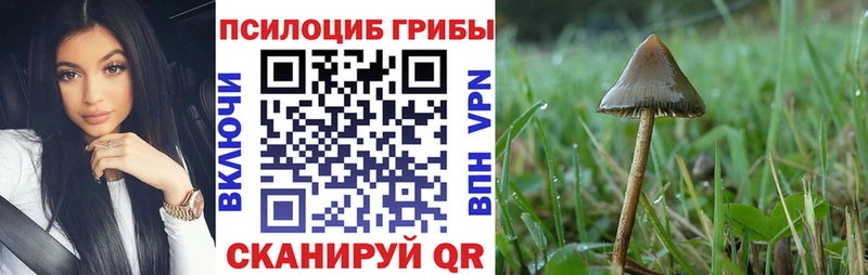Галлюциногенные грибы Magic Shrooms  Купить закладки  Сясьстрой 